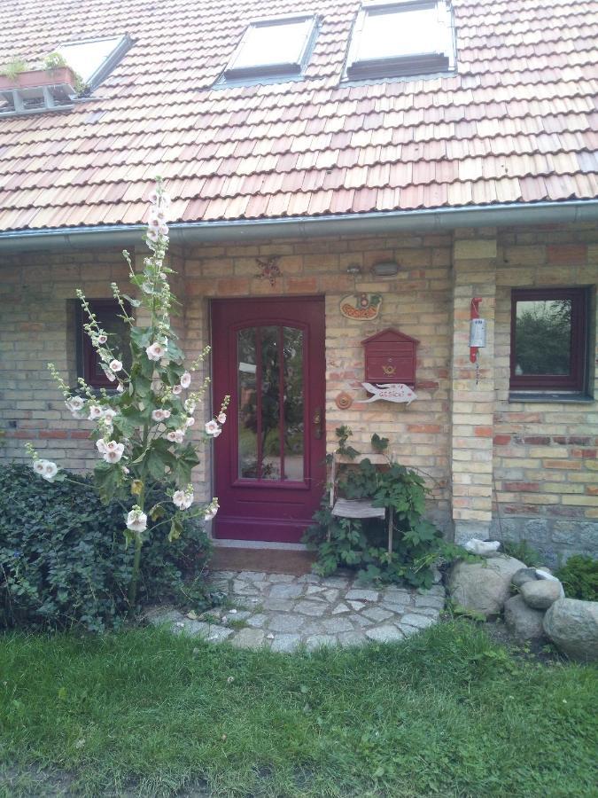 Hofboddenblick Apartment Kuckenshagen ภายนอก รูปภาพ